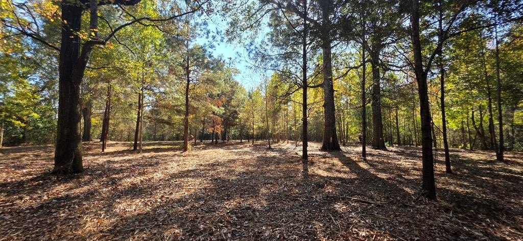 Single Family - 6 Acres North Broad St, Cowarts, AL