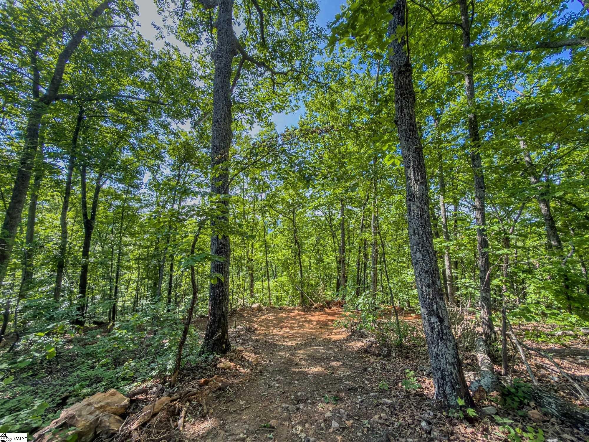 Other - 611 Packs Mountain Ridge Road, Taylors, SC