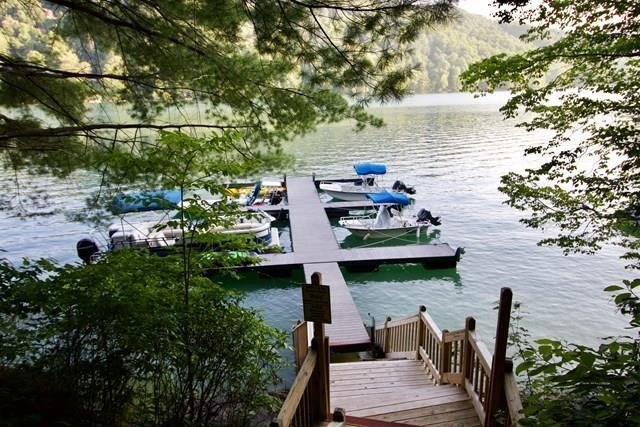 Other - Lot# 10 Forest Vista Lane, NANTAHALA, NC