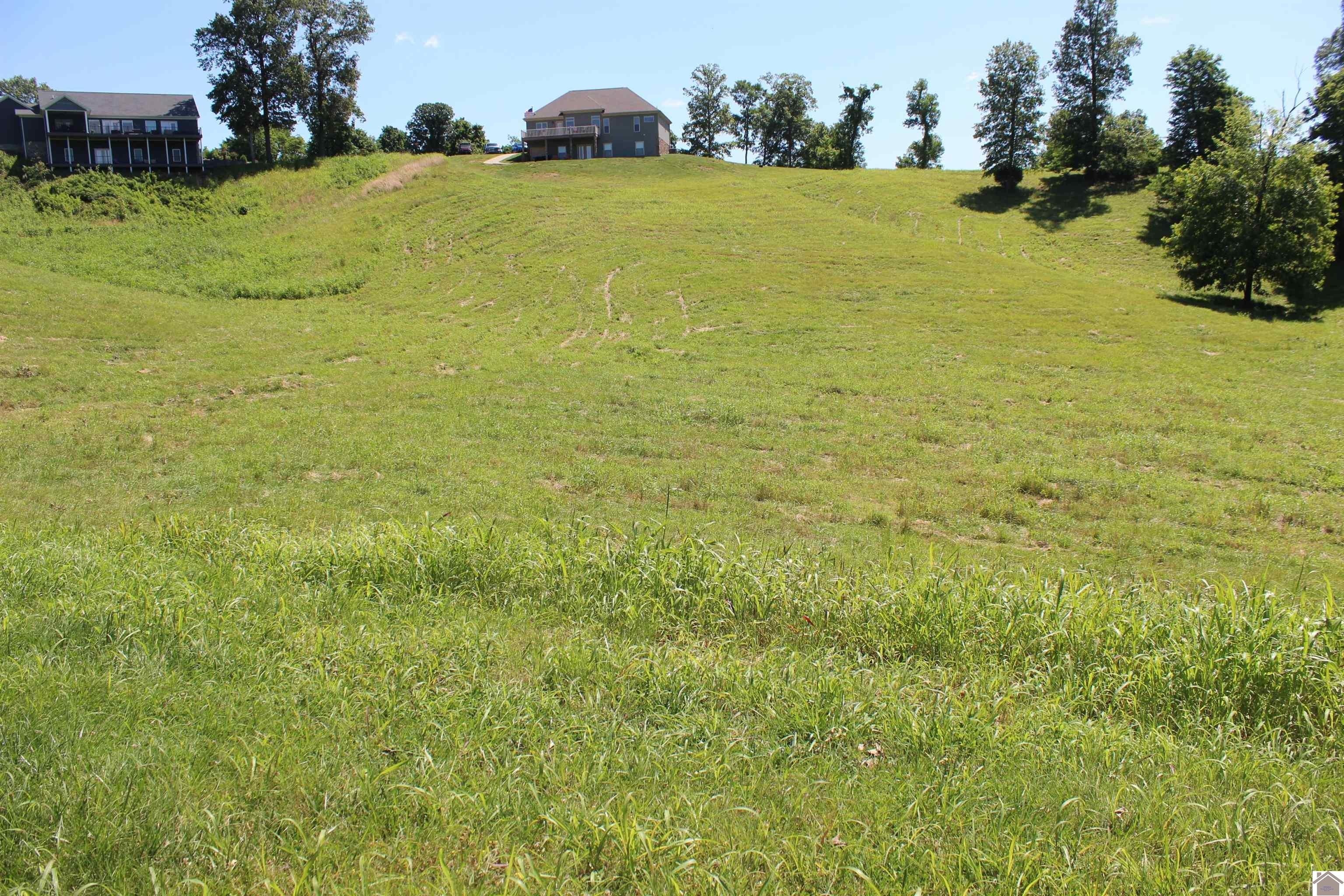 Other - Lot 26 Oak View Lane, Eddyville, KY