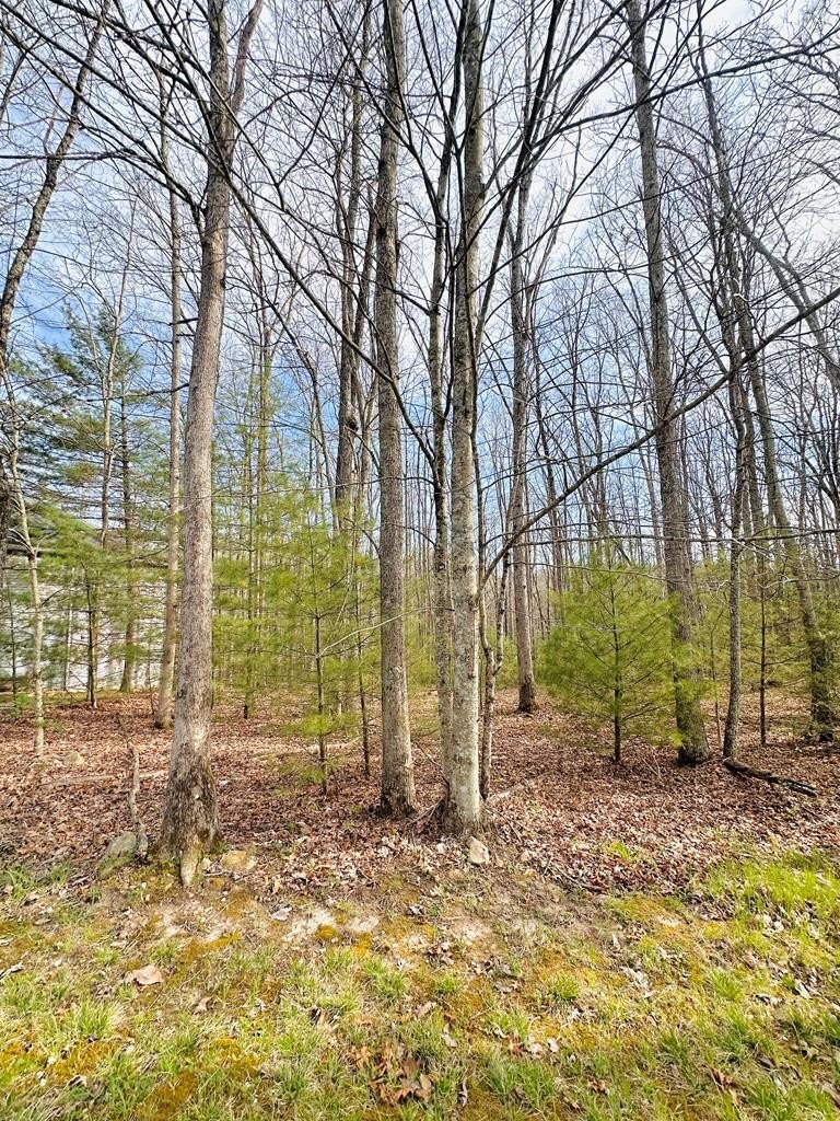 Other - 202 GLEN GARDEN LN, DANIELS, WV