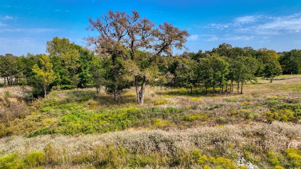 Plots and Land - Lot # 82 Valley Oak Court, Springtown, TX