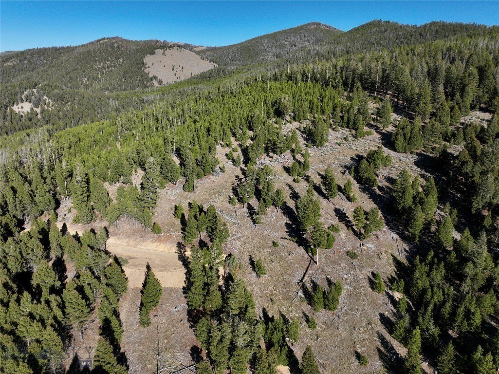 Plots and Land - Lot 6 Ruby Mine Road, Butte, MT