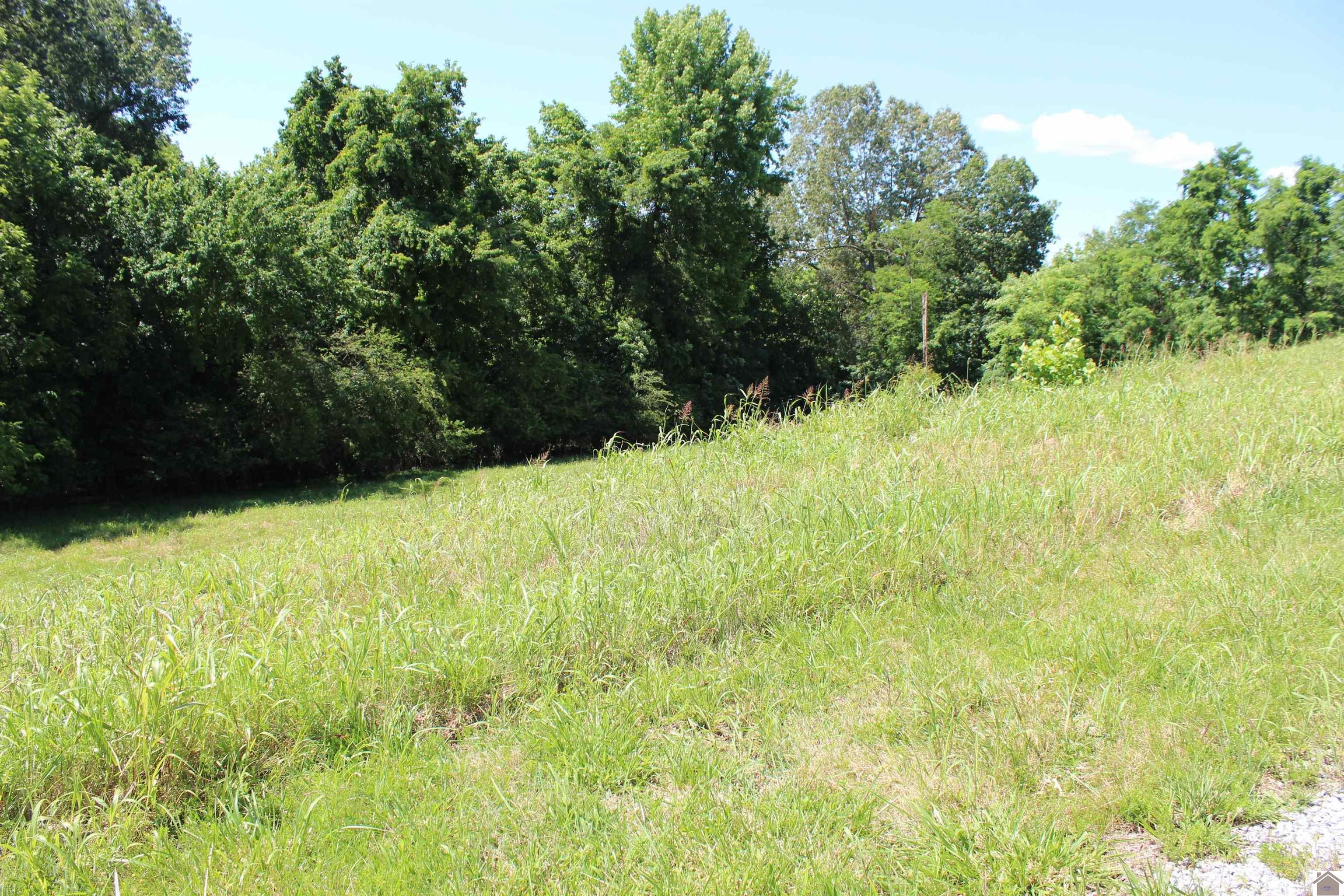Other - Lot 24 Oak View Lane, Eddyville, KY