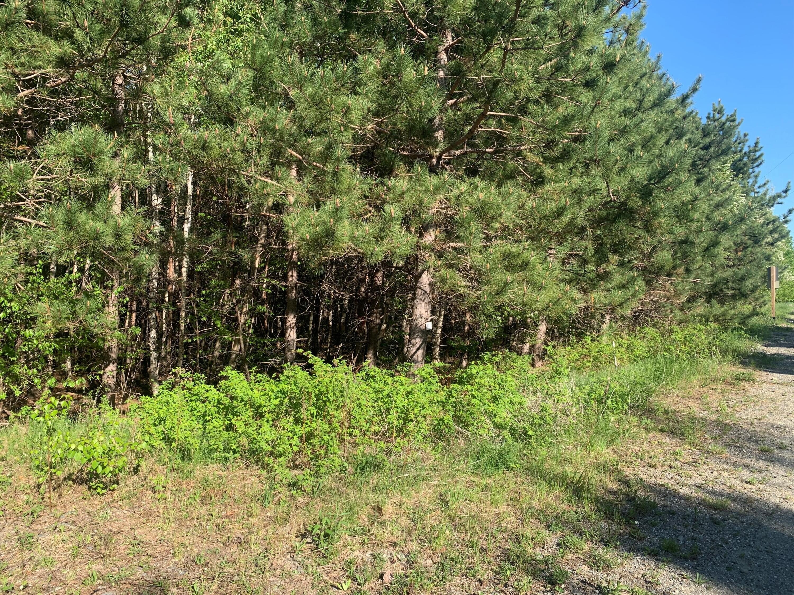 Other - Grand View Drive lot: 24, Dedham, ME