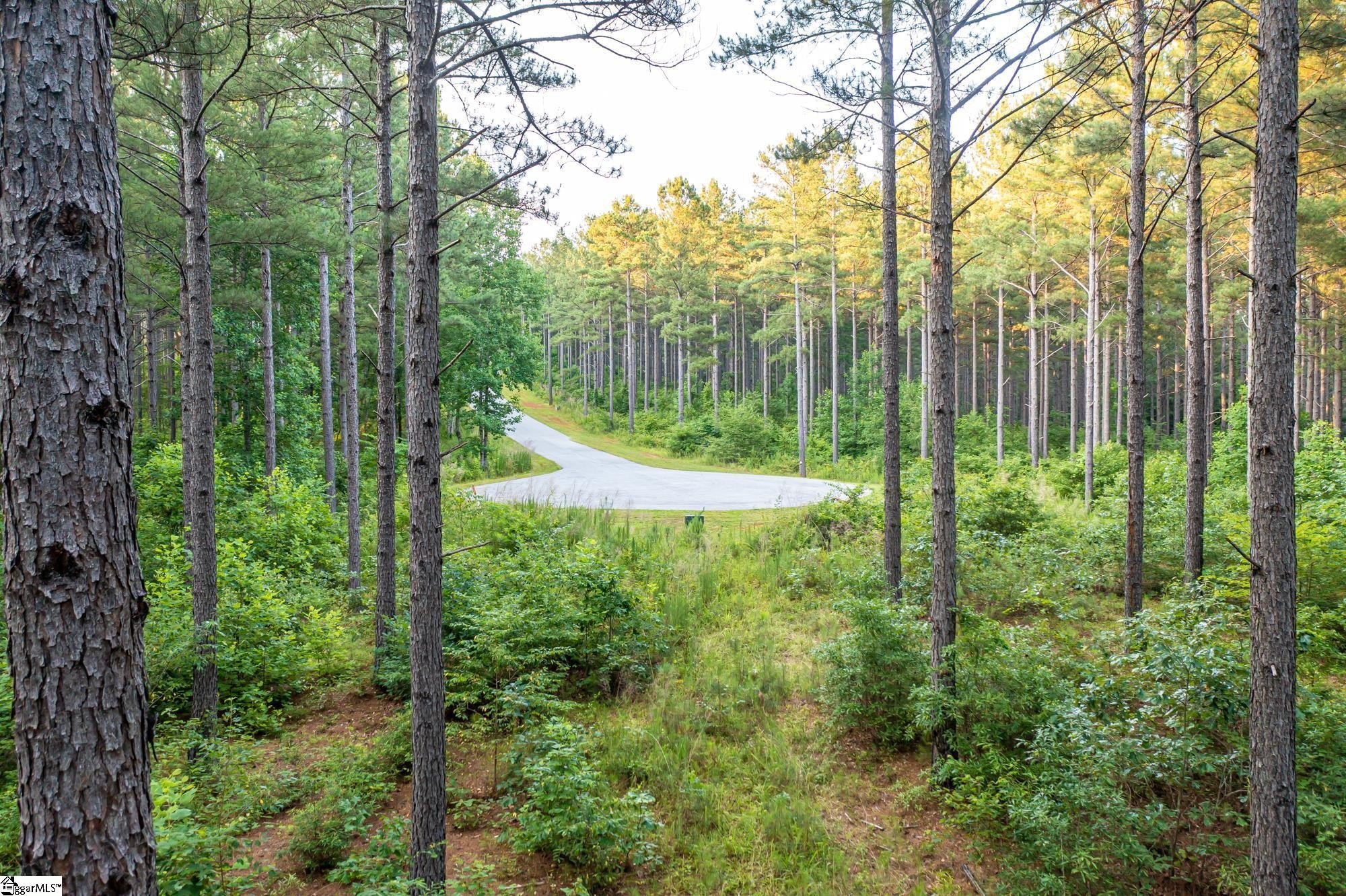 Other - High Pines Drive lot: 4, Salem, SC