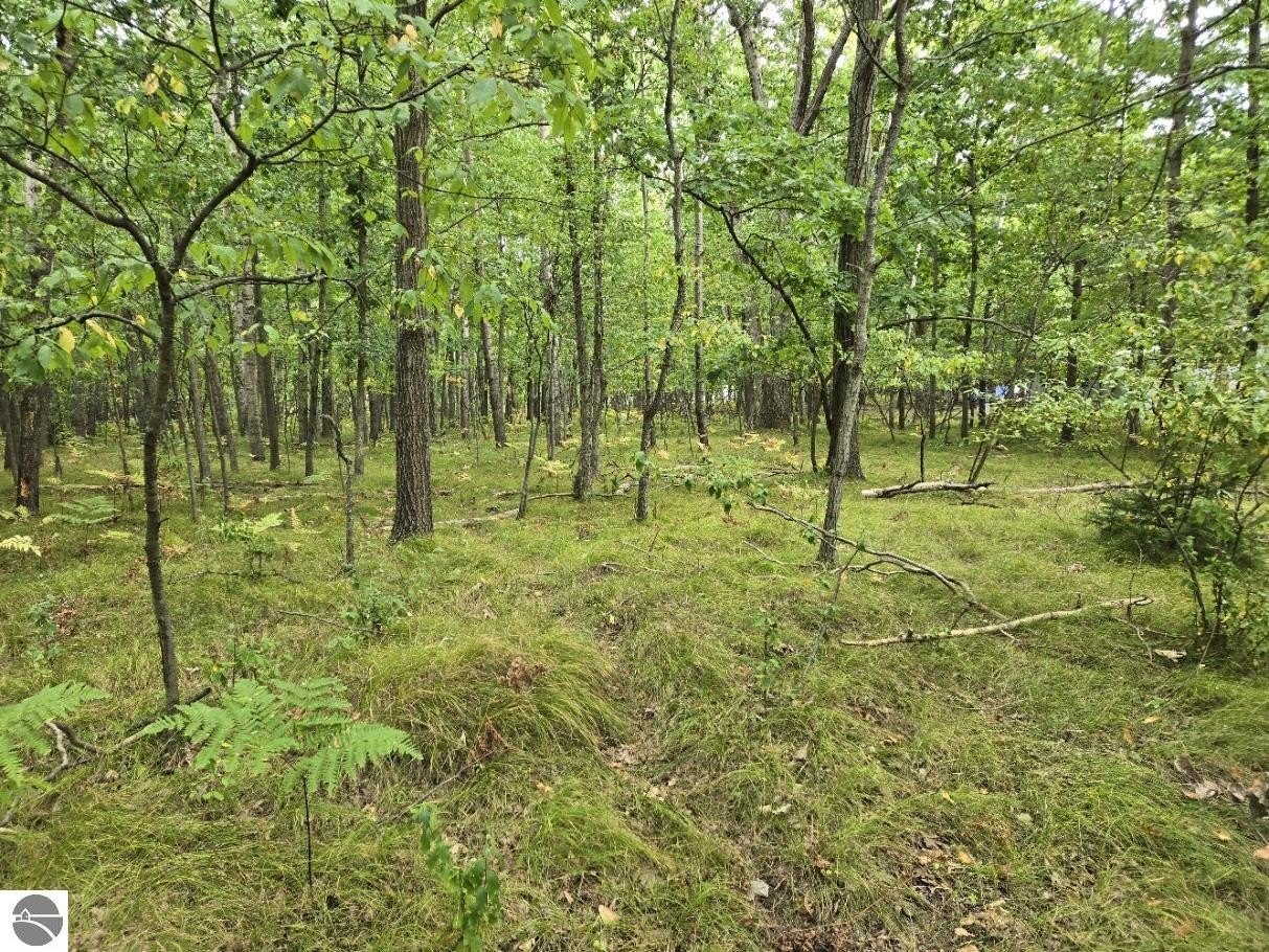 Other - 1009 Castle Drive lot: 88, Lake Isabella, MI
