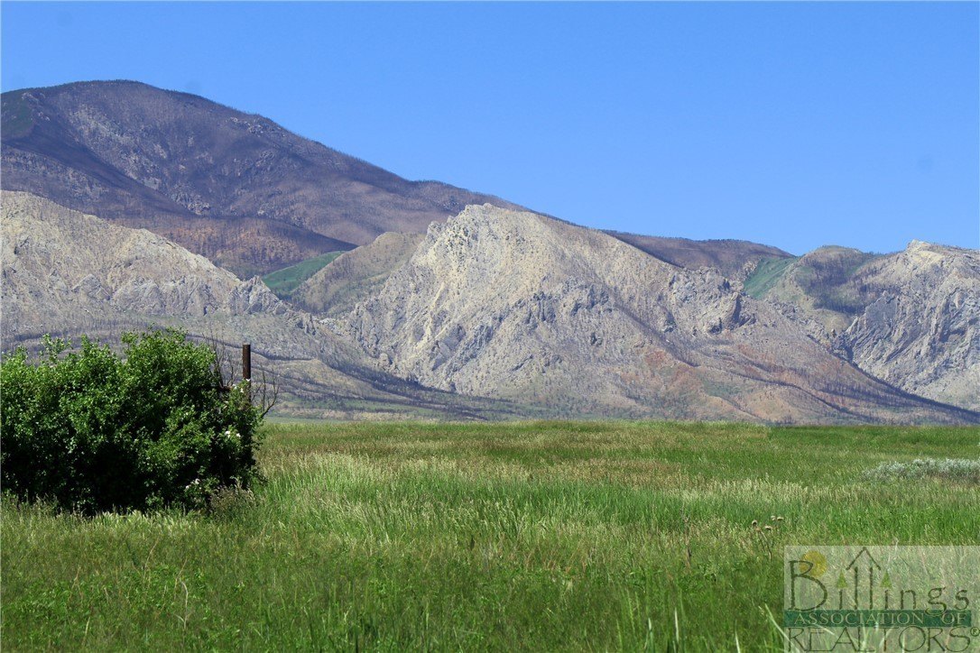 Other - Stagecoach Spur W lot: 935-3, Belfry, MT