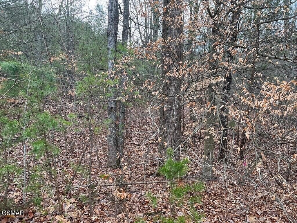 Other - Blue Springs Way lot: 30, Newport, TN