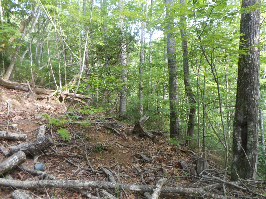 Other - Rabbit Lane lot: 22&23, Franklin, NC