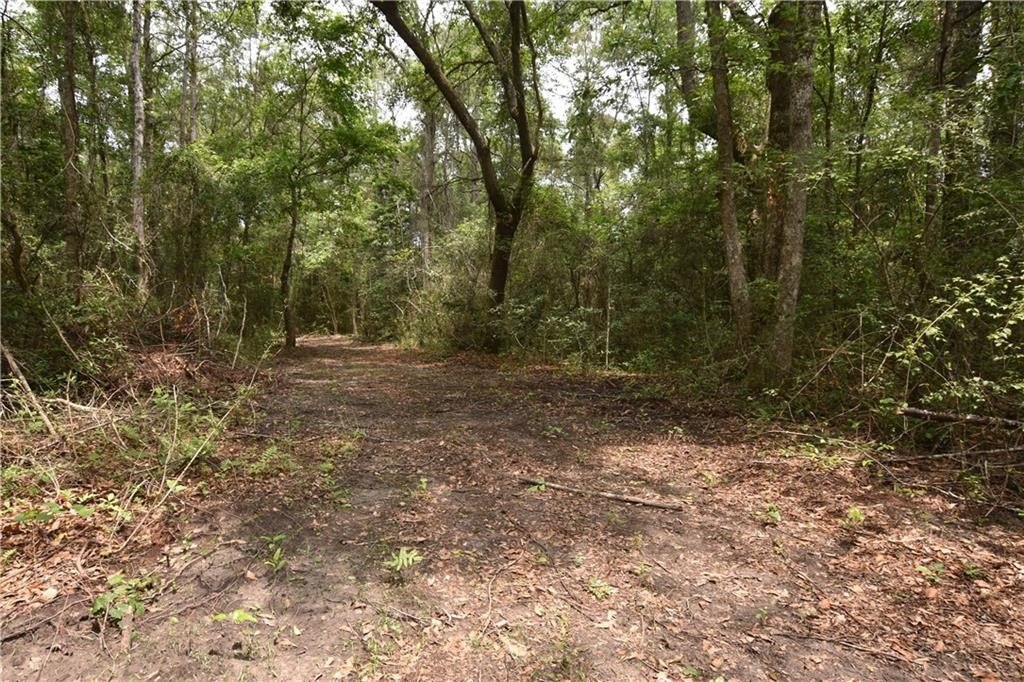 Other - 03 SALLY WELCH Road, Lacombe, LA
