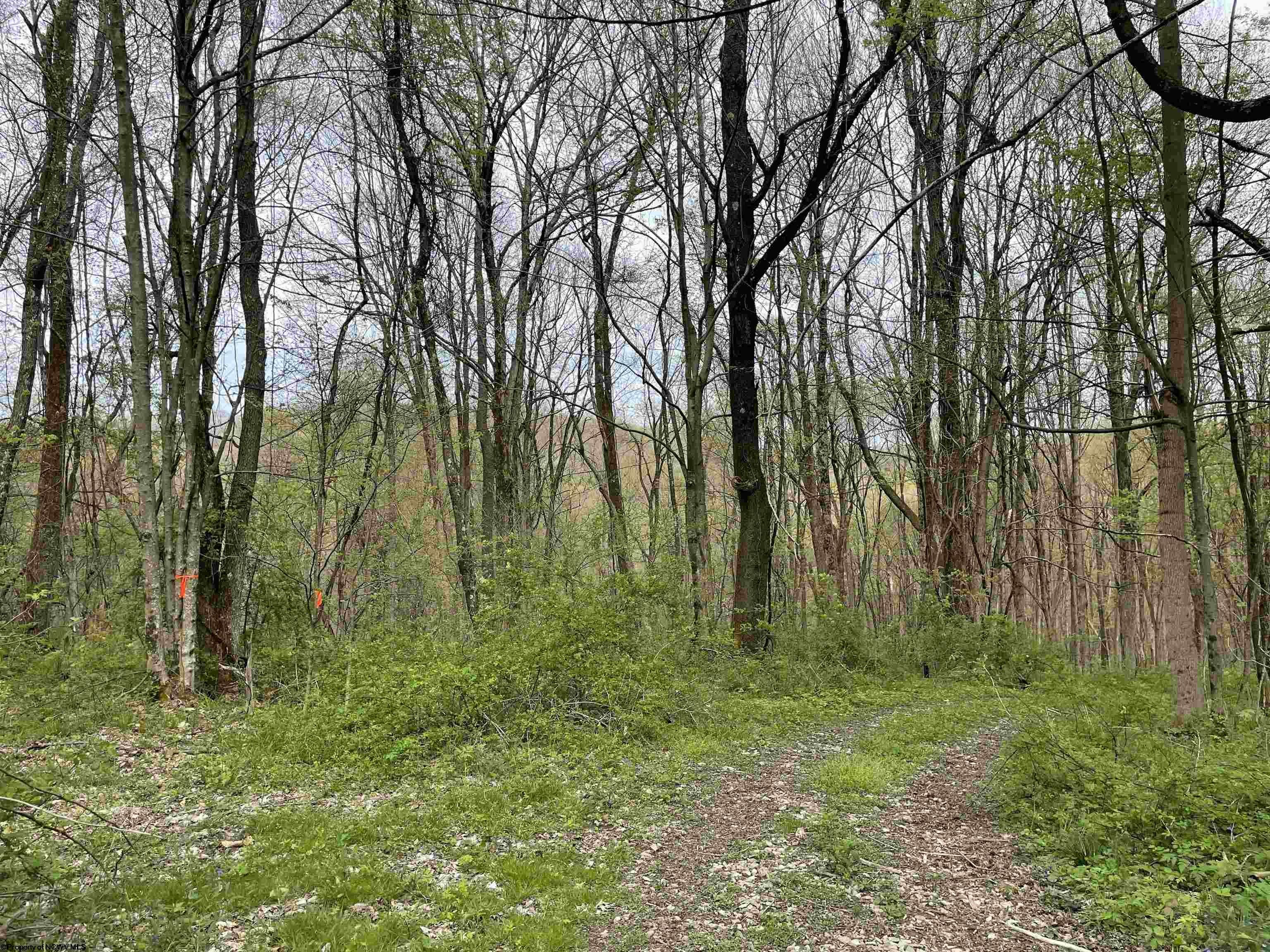 Other - Hobbits Glenn Estates lot: 28, Masontown, WV