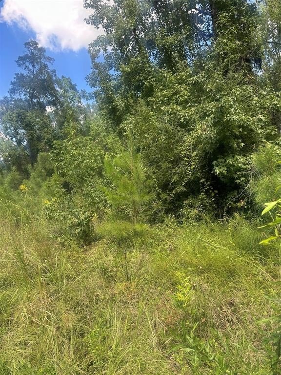 Plots and Land - Lot 11 Dale, Jonesboro, LA