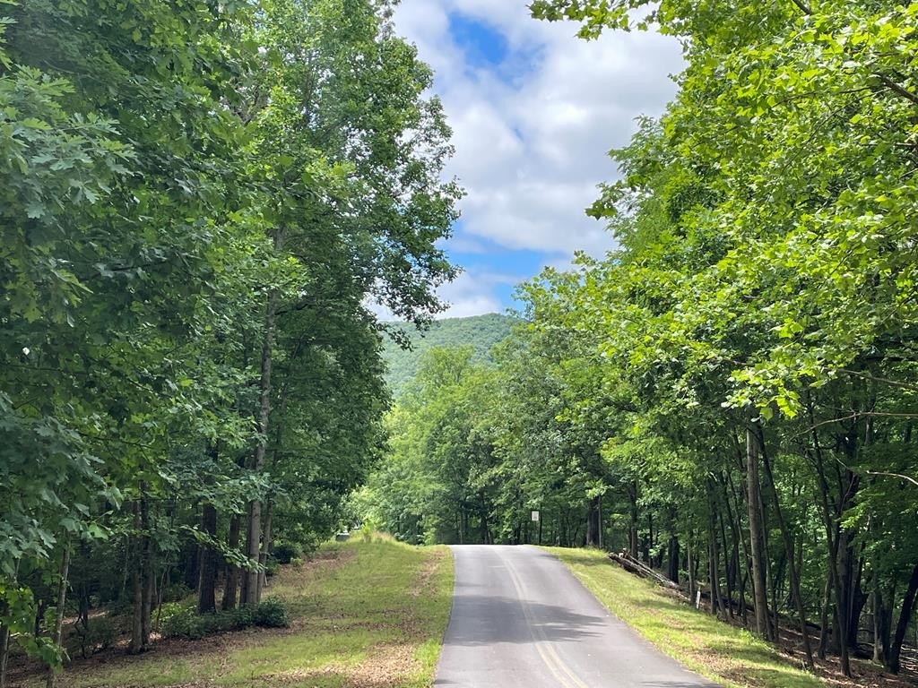 Other - Asheland Overlook lot: 57, Young Harris, GA