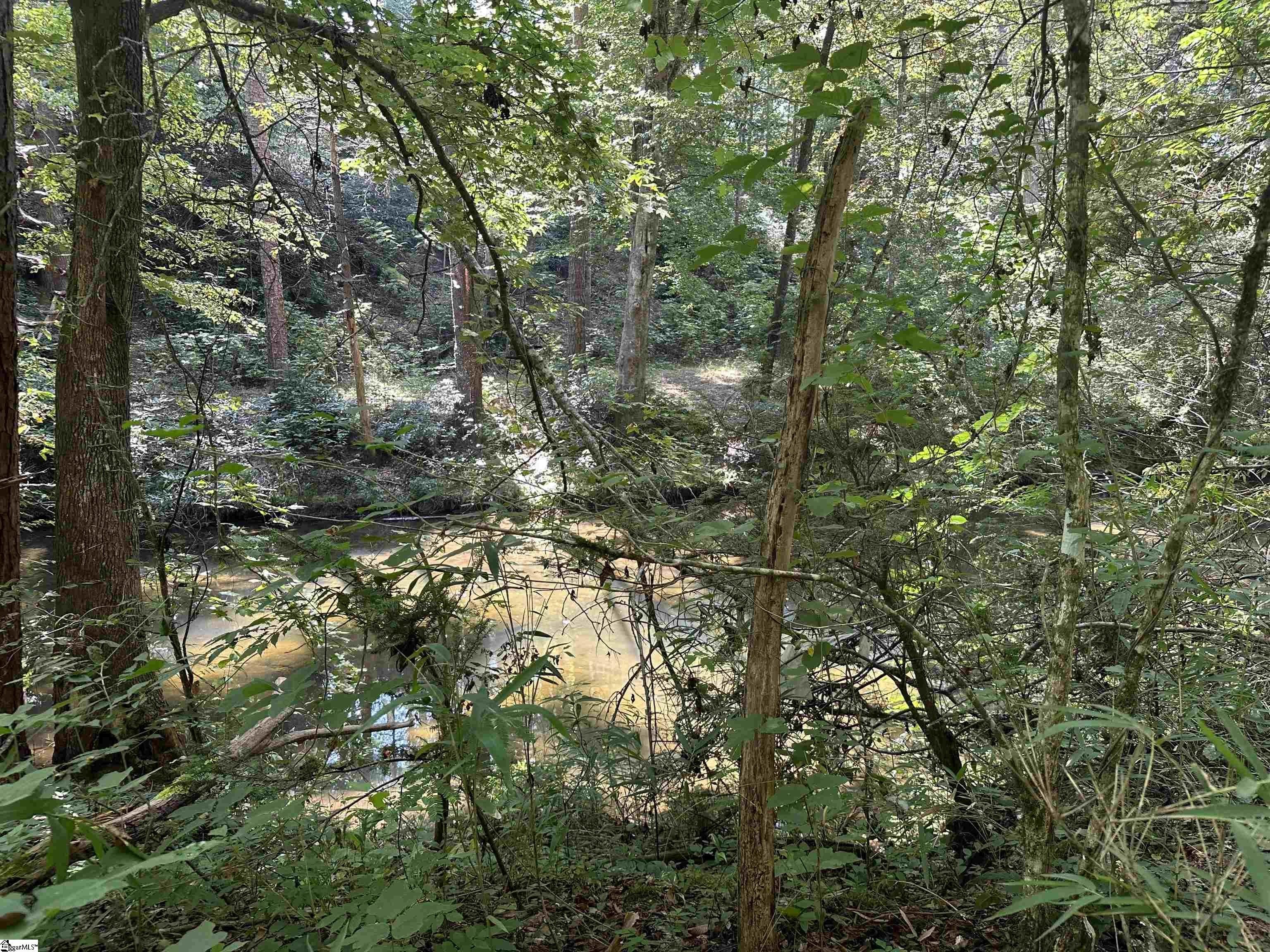 Other - 3 Table Rock Road, Cleveland, SC