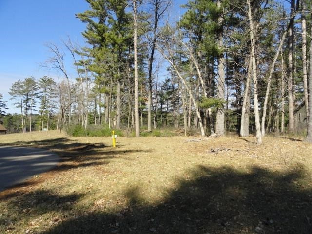 Other - Lot 16 Fly Rod Trail, Wisconsin Rapids, WI