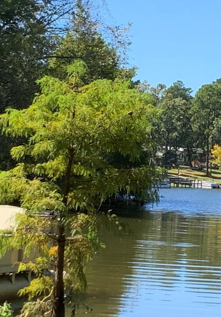 Lot Unit 18A Patriot Rd  