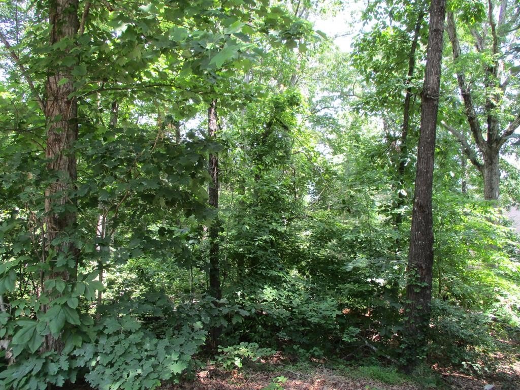 Other - 74a Licklog Ridge, Hayesville, NC