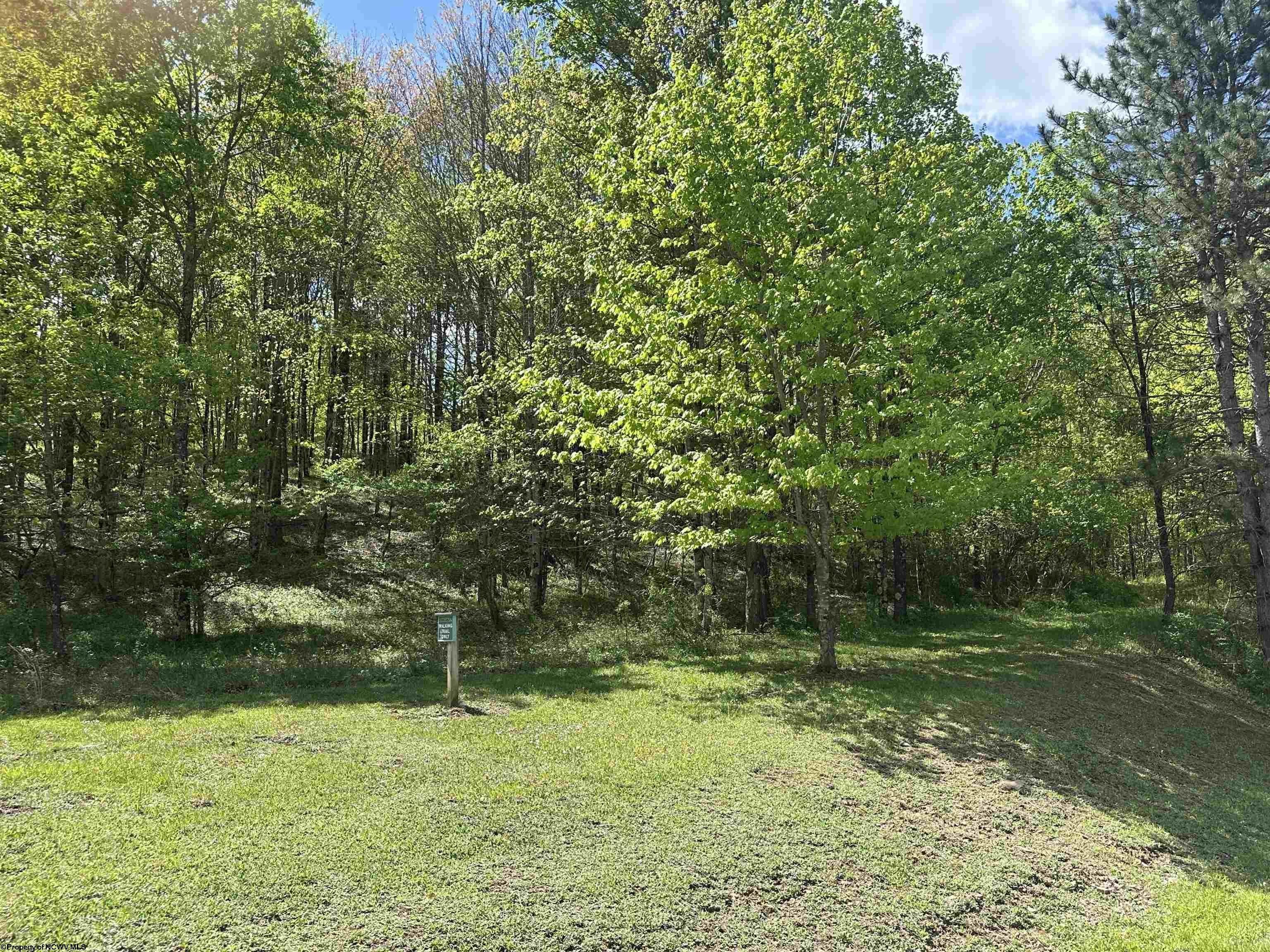 Other - Lot 2 Flat Rock Run, Dryfork, WV
