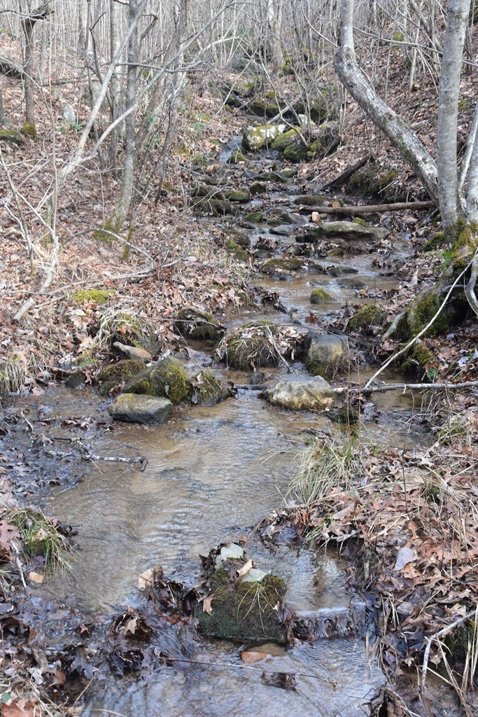 Other - Lot #50 Broken Arrow, Hayesville, NC