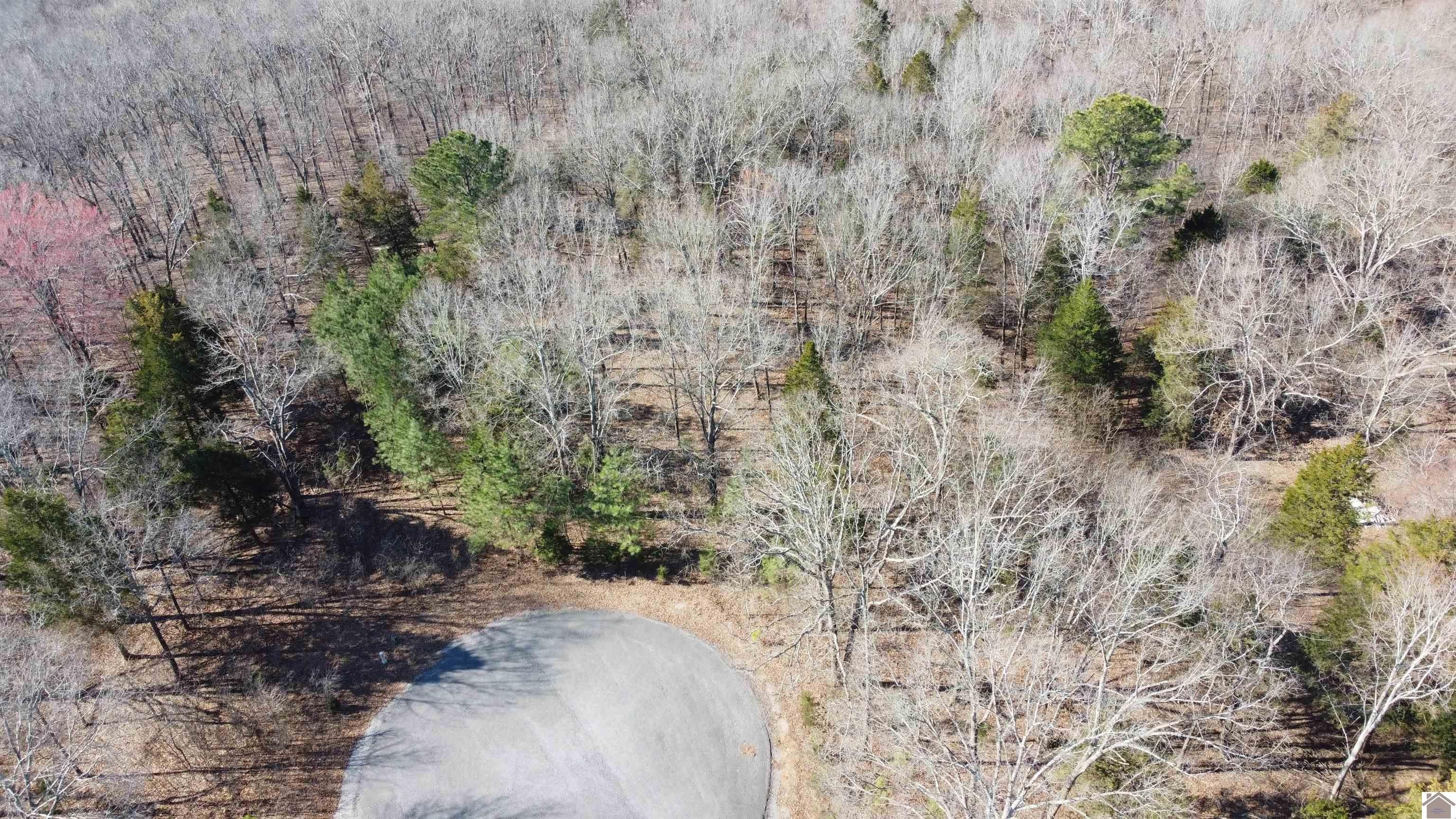 Other - Lookout Lane lot: 191 And 192, Murray, KY
