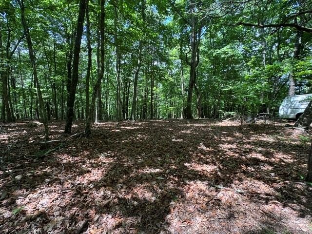 Other - 154 Chill Lane, Blairsville, GA
