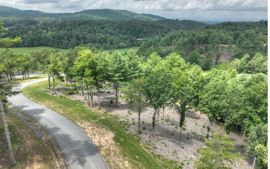 Plots and Land - Lot 222 Ridge Drive, Morganton, GA