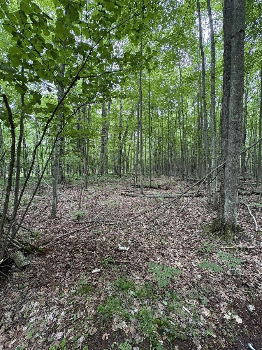Other - 3680 Wieman Road, Beaverton, MI