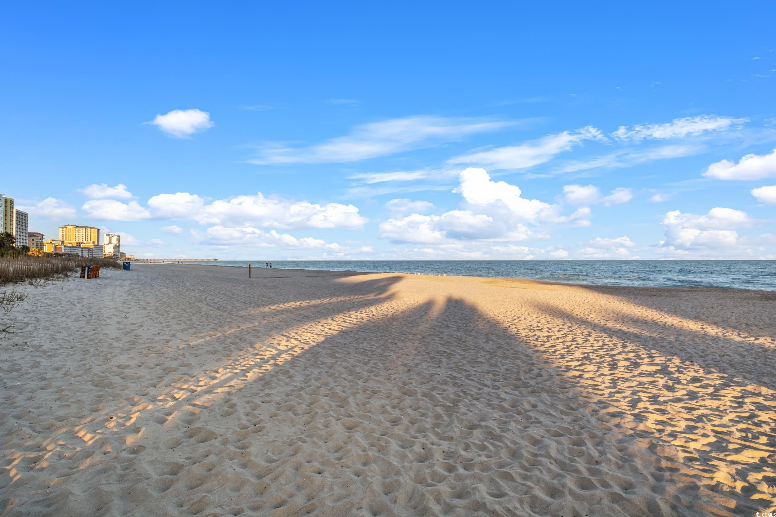 Condo 1BA - 1105 S Ocean Blvd., Myrtle Beach, SC