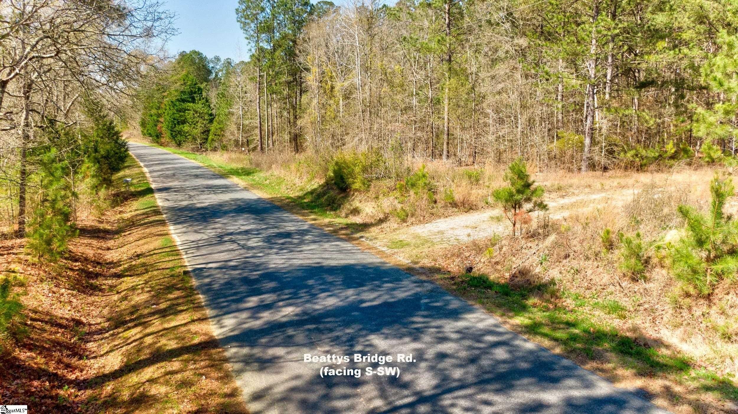 Other - Beatty's Bridge Road lot: C, Union, SC