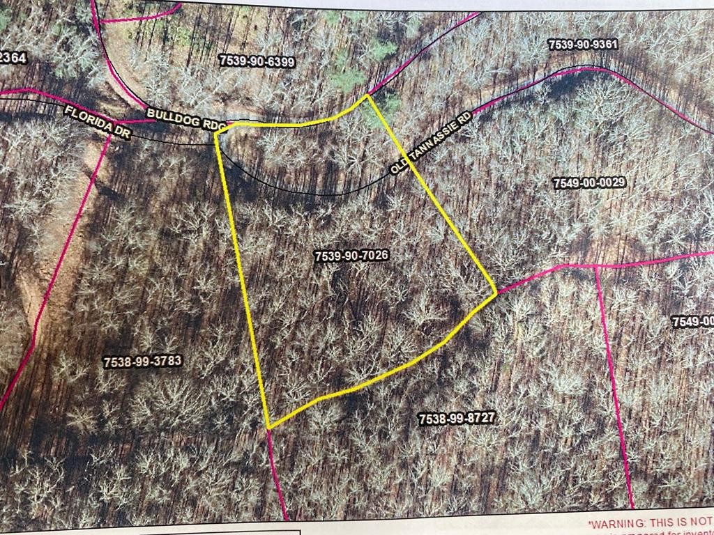 Other - Mountain Forest Estates lot: 28, Sylva, NC