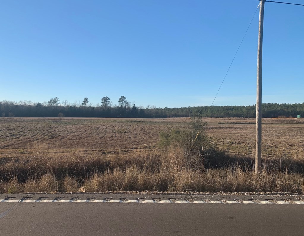 Other - 00 Hwy 11, Ellisville, MS
