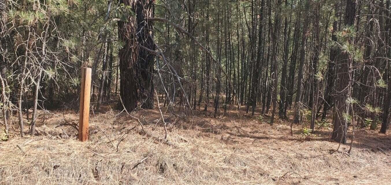 Other - 3733 XX SAND CREEK RD, KETTLE FALLS, WA