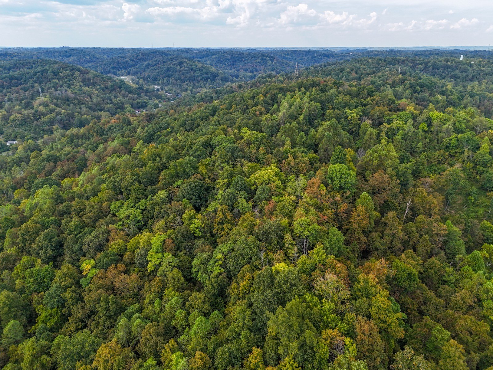Other - 6897 County Road 15, Chesapeake, OH