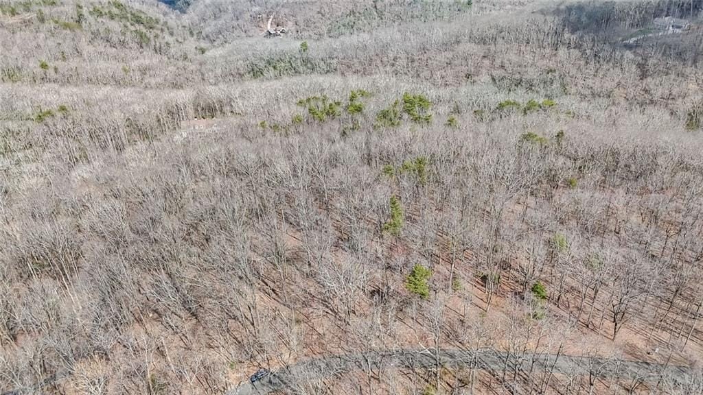 Other - 22 Andes Ridge, Jasper, GA