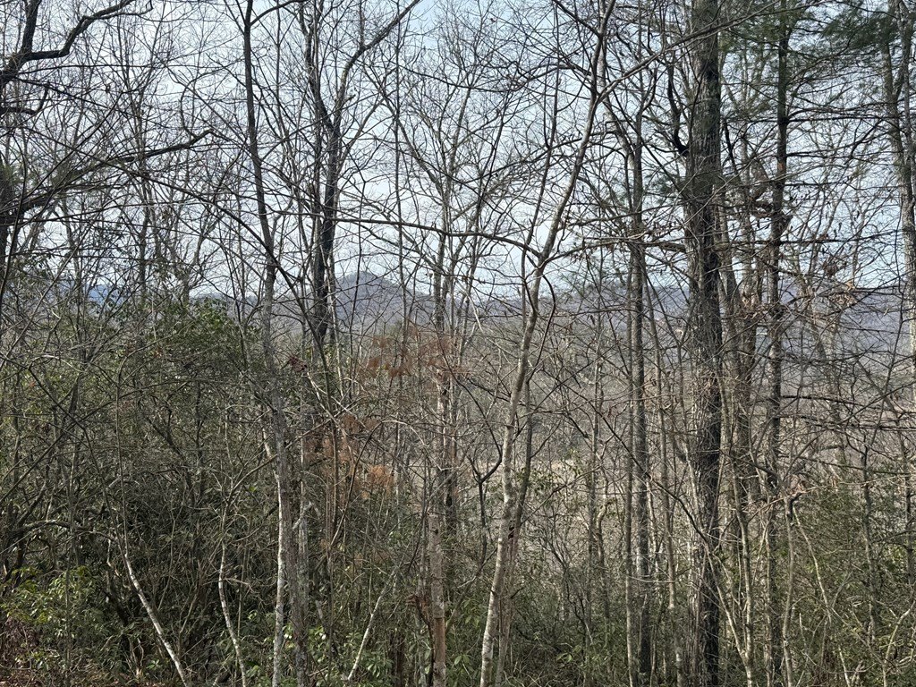 Other - 10, 11 River Run lot: 10, 11, Franklin, NC