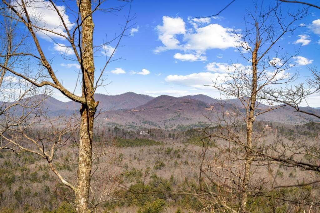 Other - Lot 20 Raven Ridge Circle, Mineral Bluff, GA