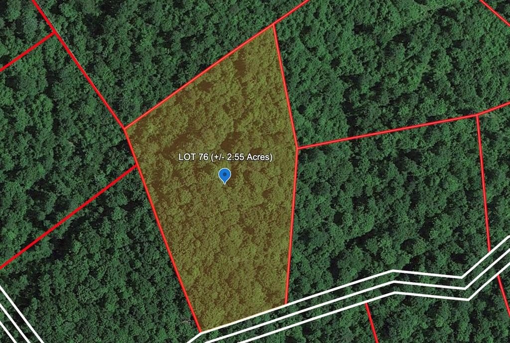 Other - 139 EAGLES NEST RIDGE, BRAGG, WV