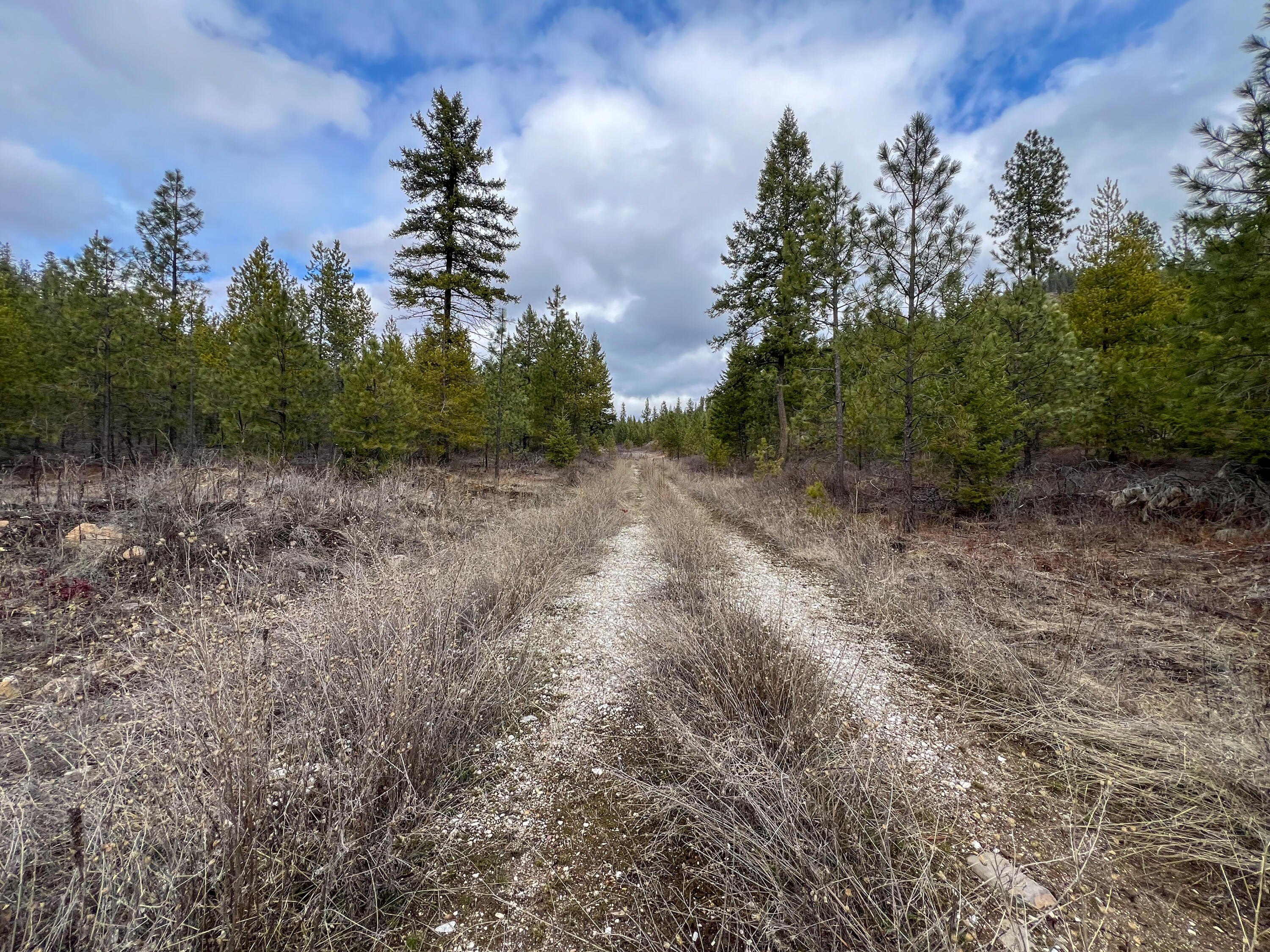 Other - 352X GREENE RD, VALLEY, WA