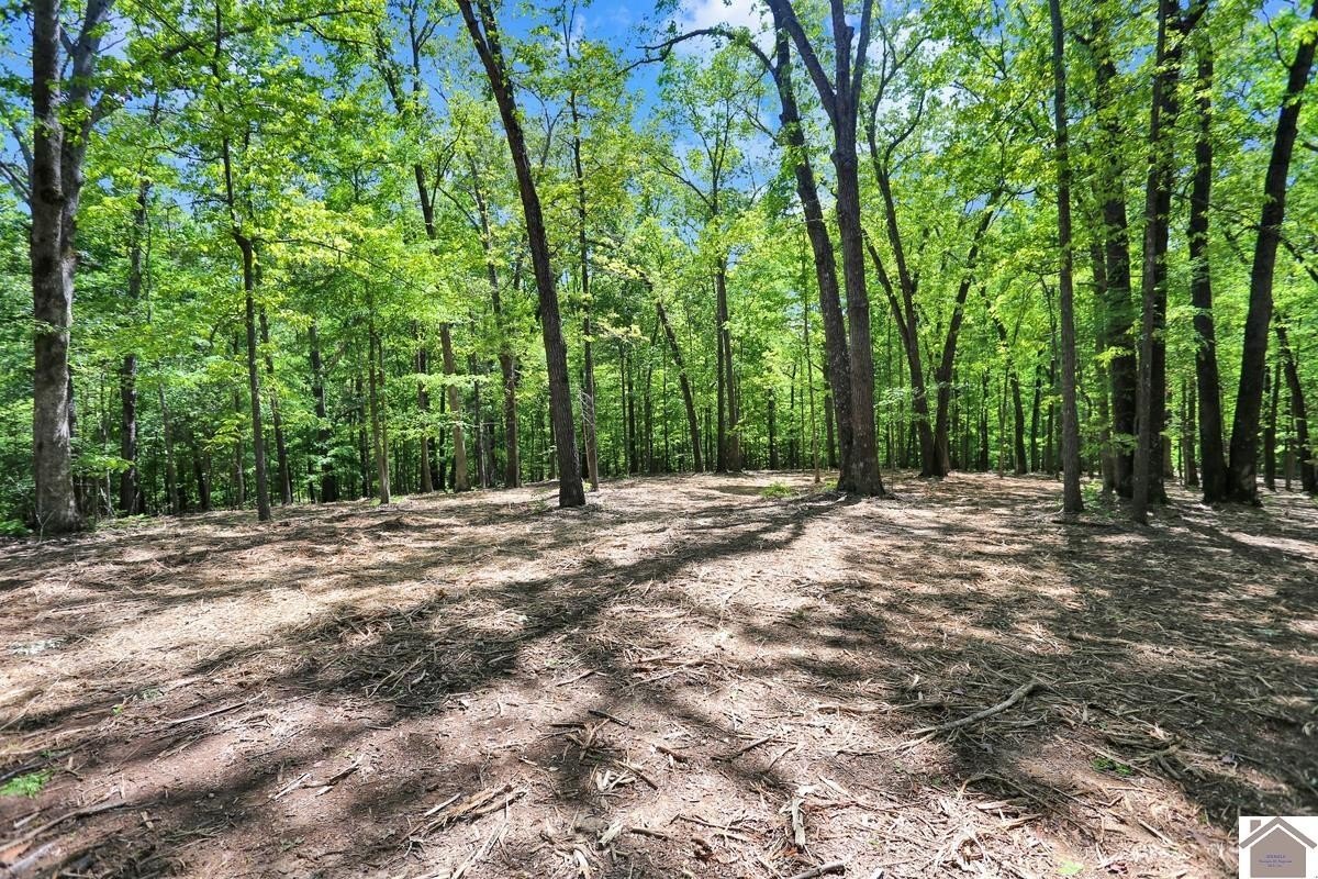 Other - Lots 19 & 20 Post Oak Road, Benton, KY