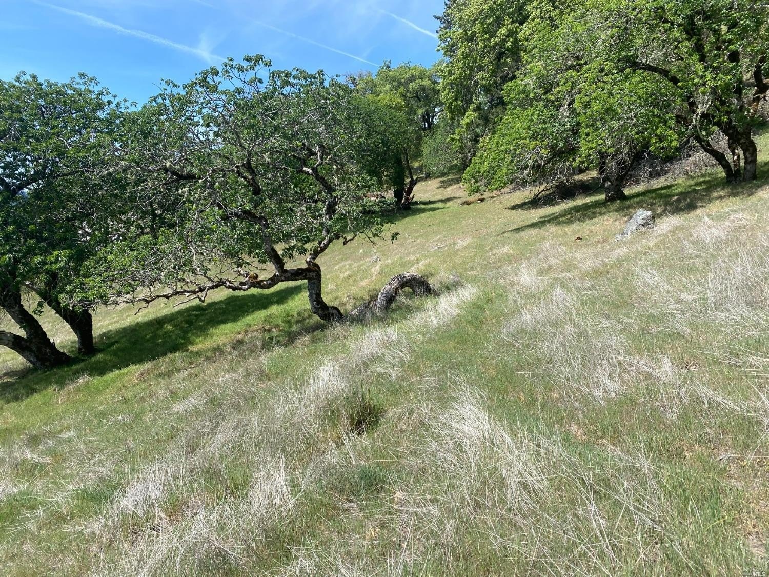 Other - 19010 Hulbert Road, Yorkville, CA