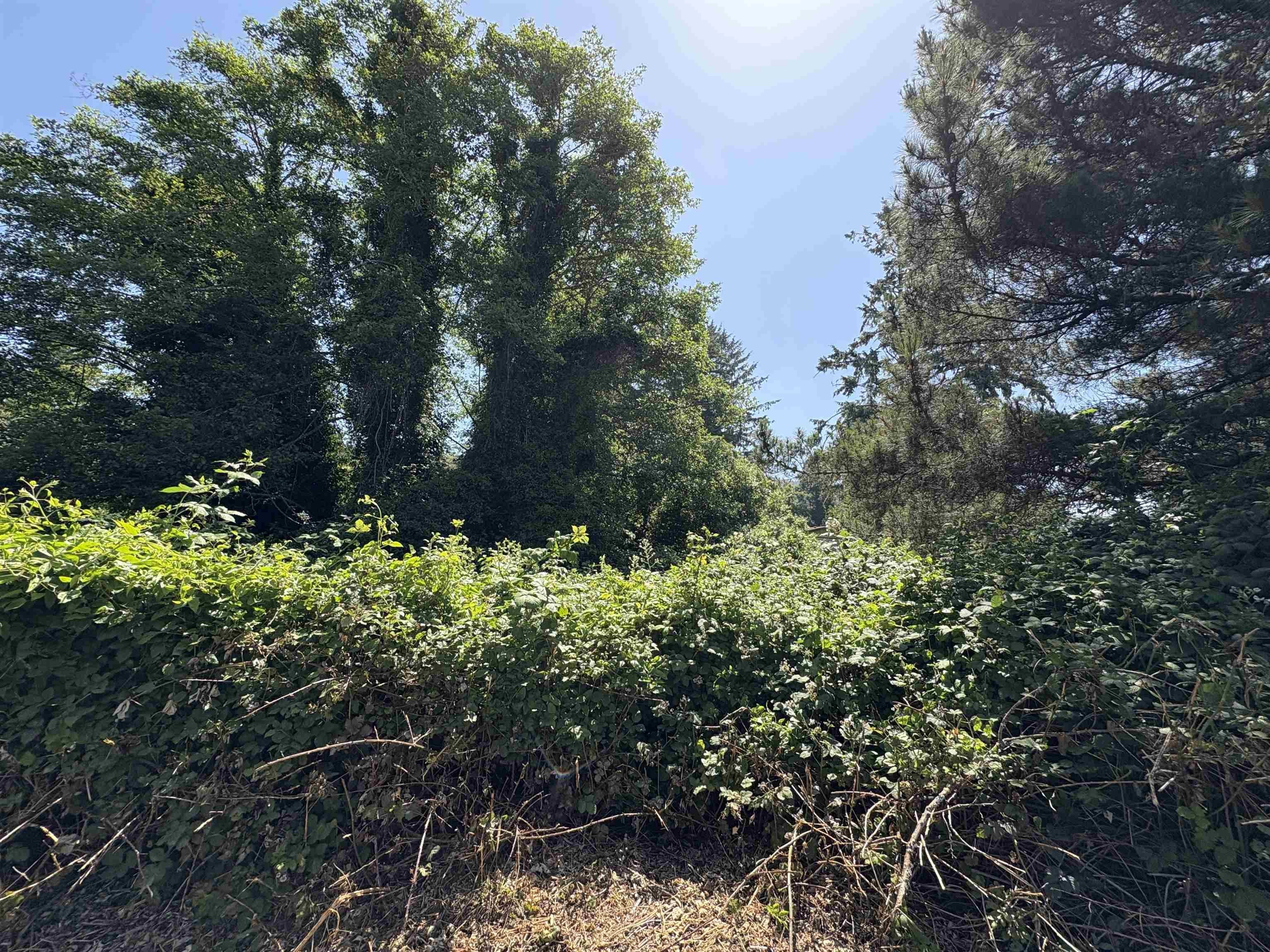 Single Family - 2460/2464 Kelly Avenue, Crescent City, CA