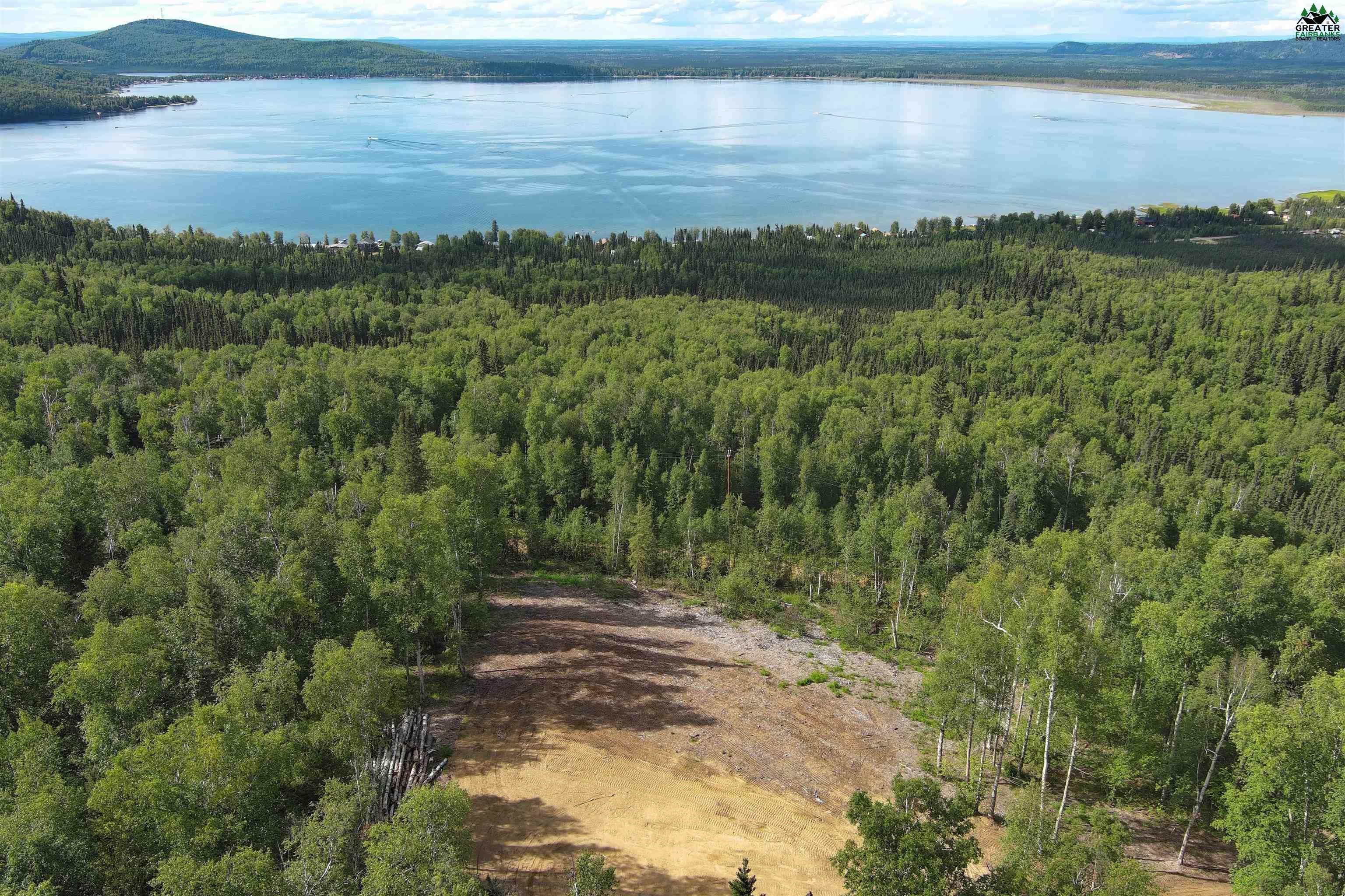 Other - 10060 WHITE BIRCH ROAD, Salcha, AK