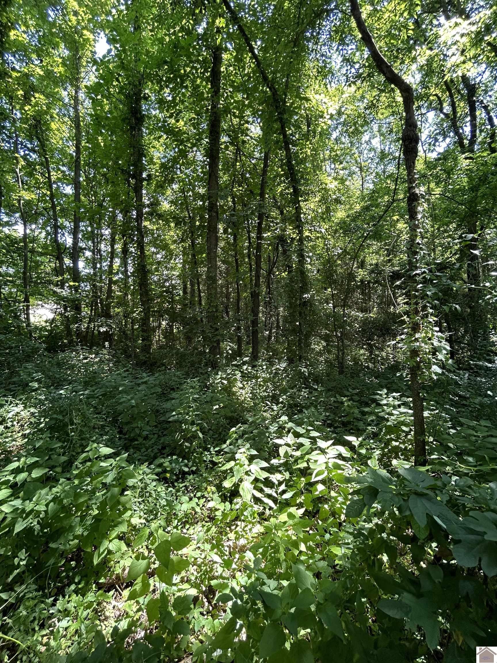 Other - Maple Lane, Cadiz, KY