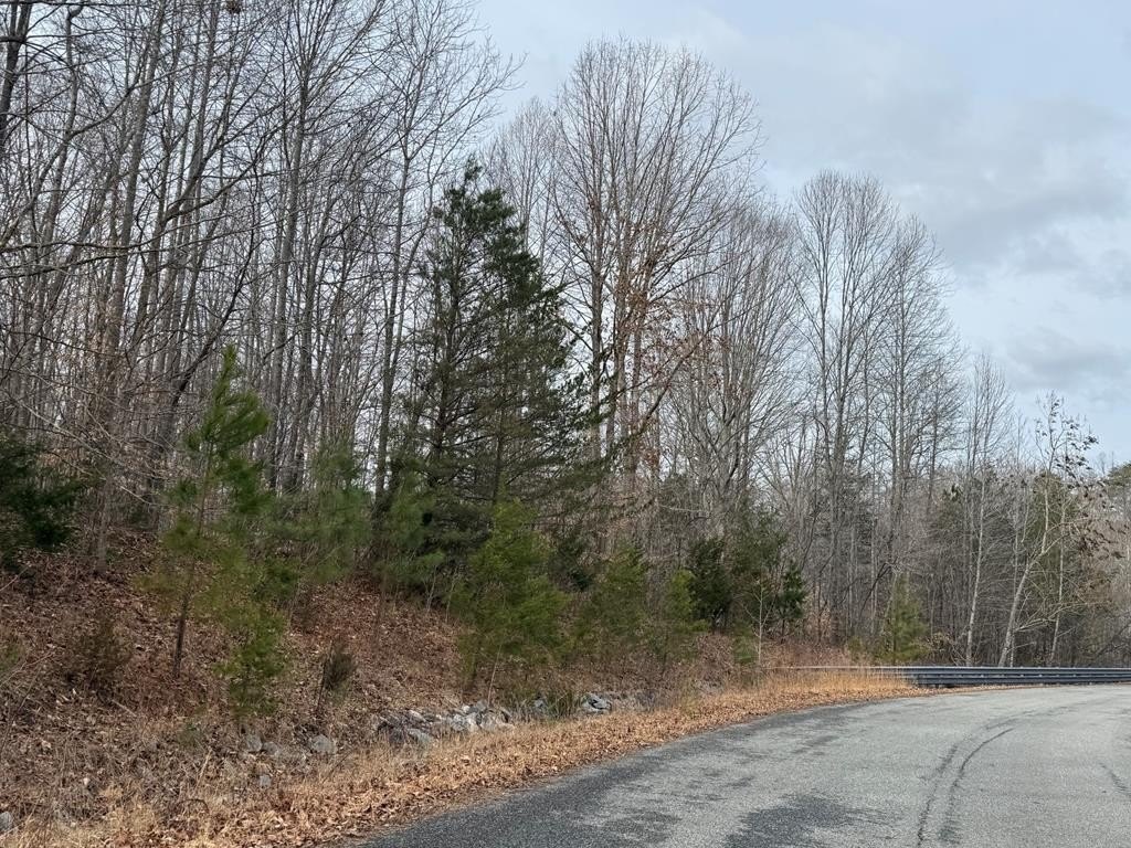 Other - West Lockett Creek Blvd, Pamplin, VA