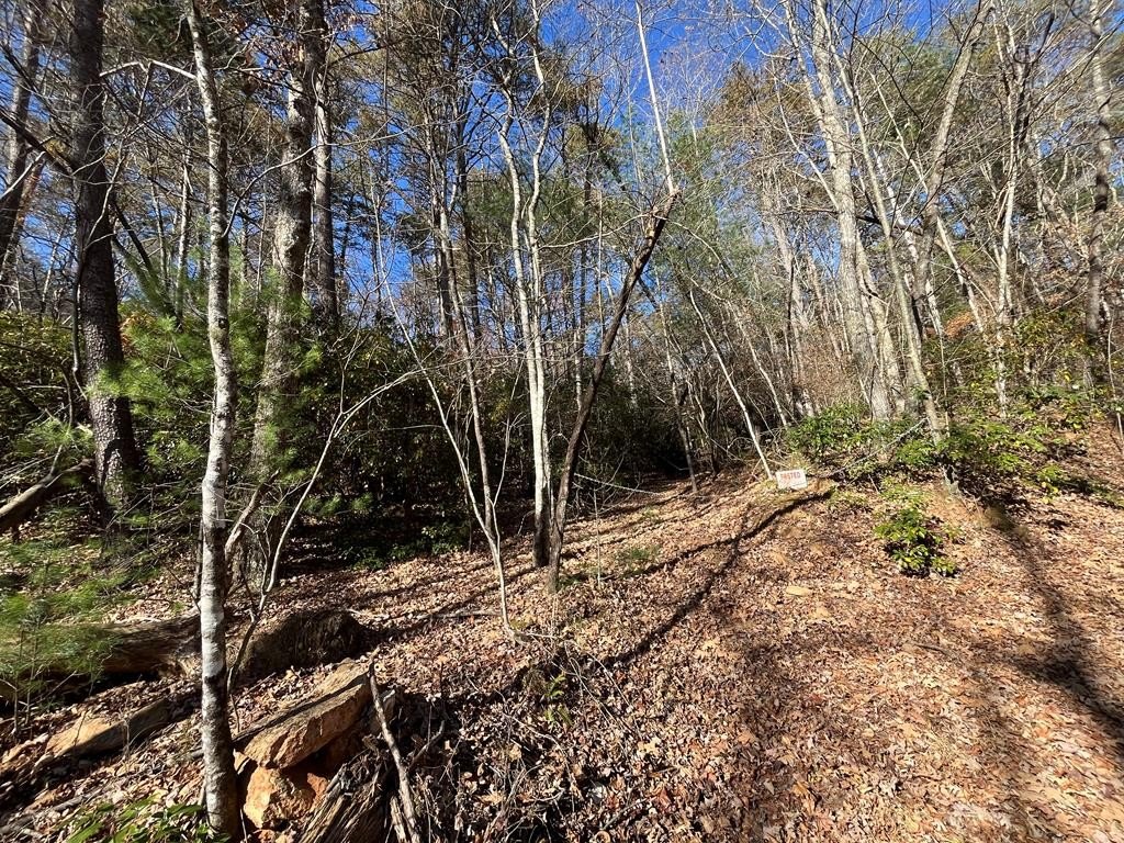 Other - 20 Ac Hidaway Drive, Ellijay, GA
