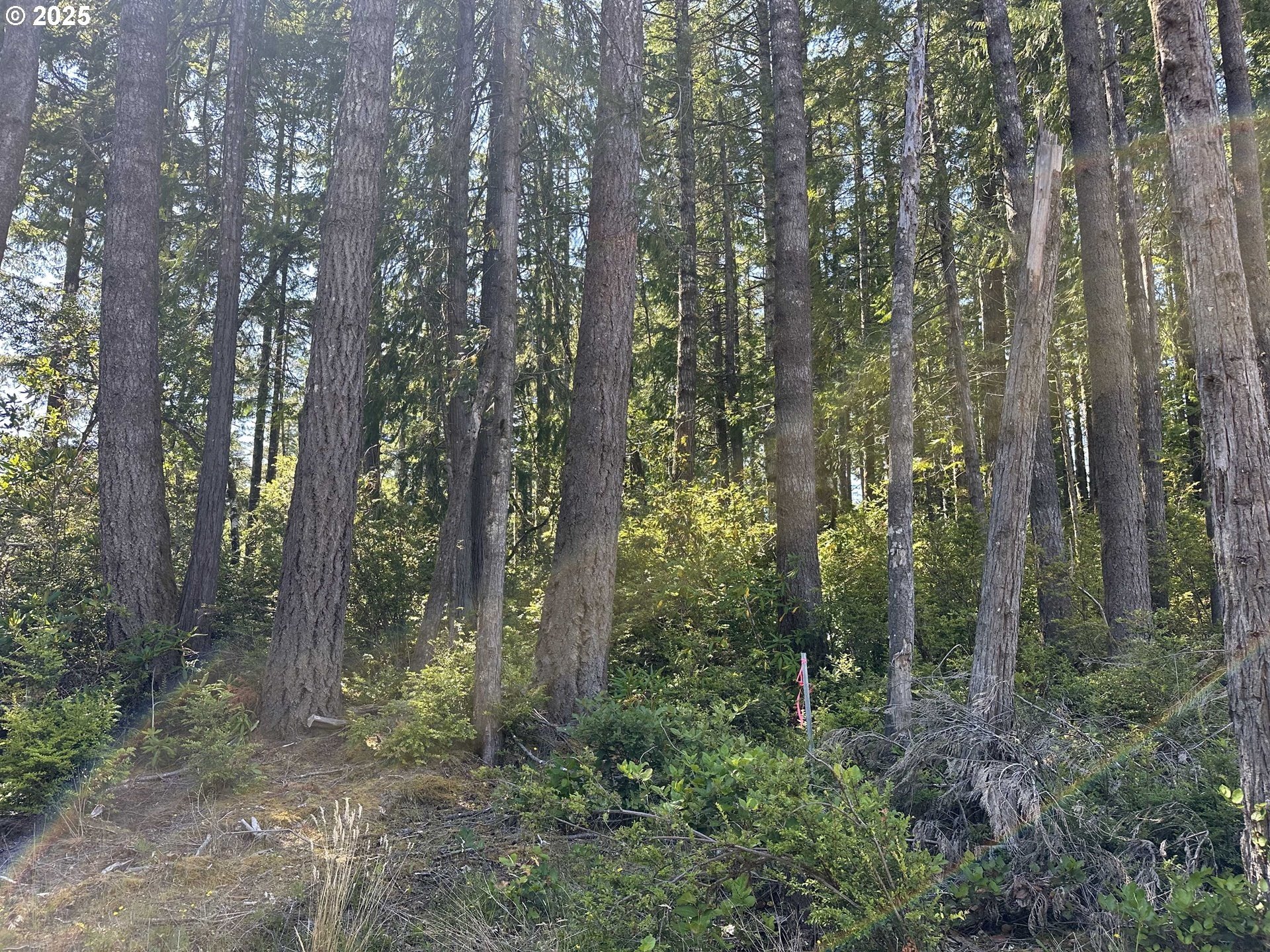 Single Family - HWY 101, Port Orford, OR
