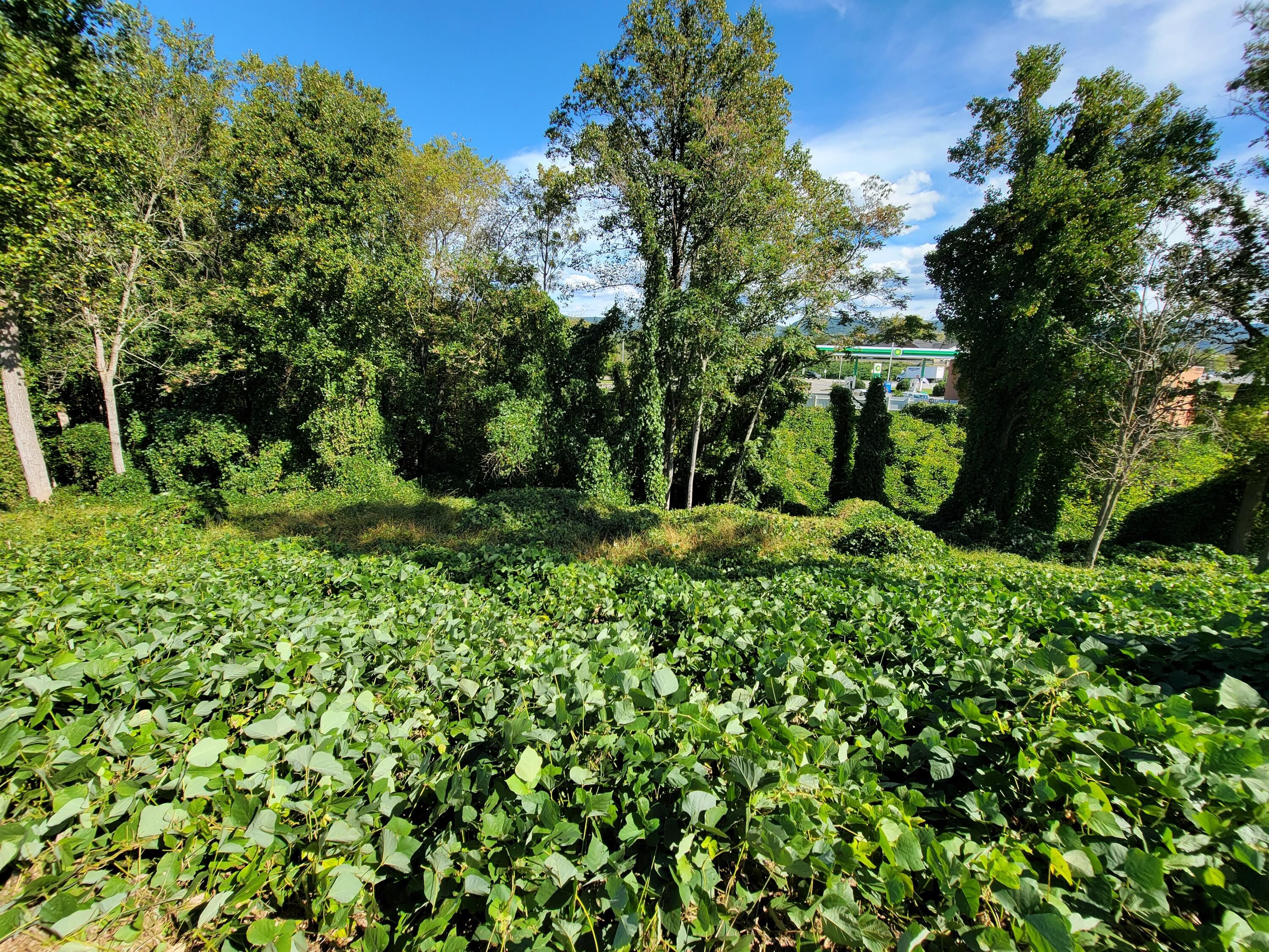 Lots 3-4-5 Pathfinder Dr