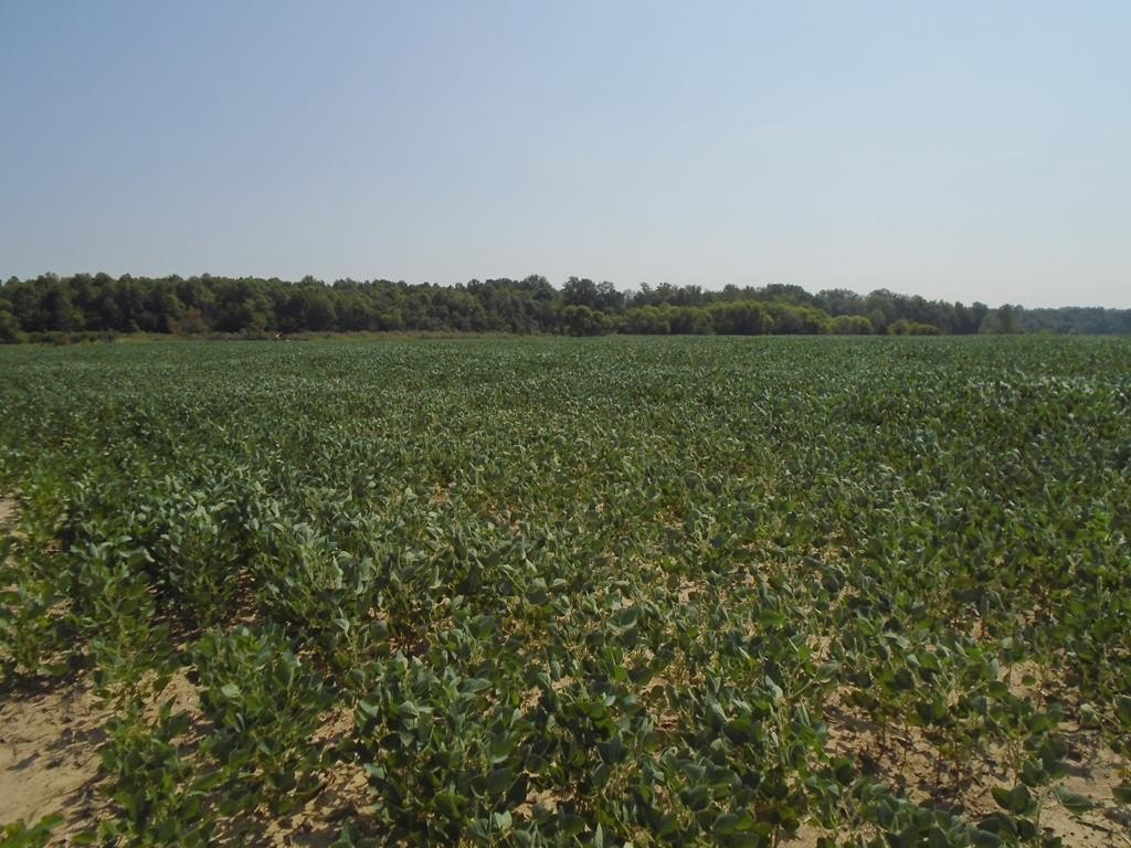 Plots and Land - 000  Estil Baker Road, Hanson, KY