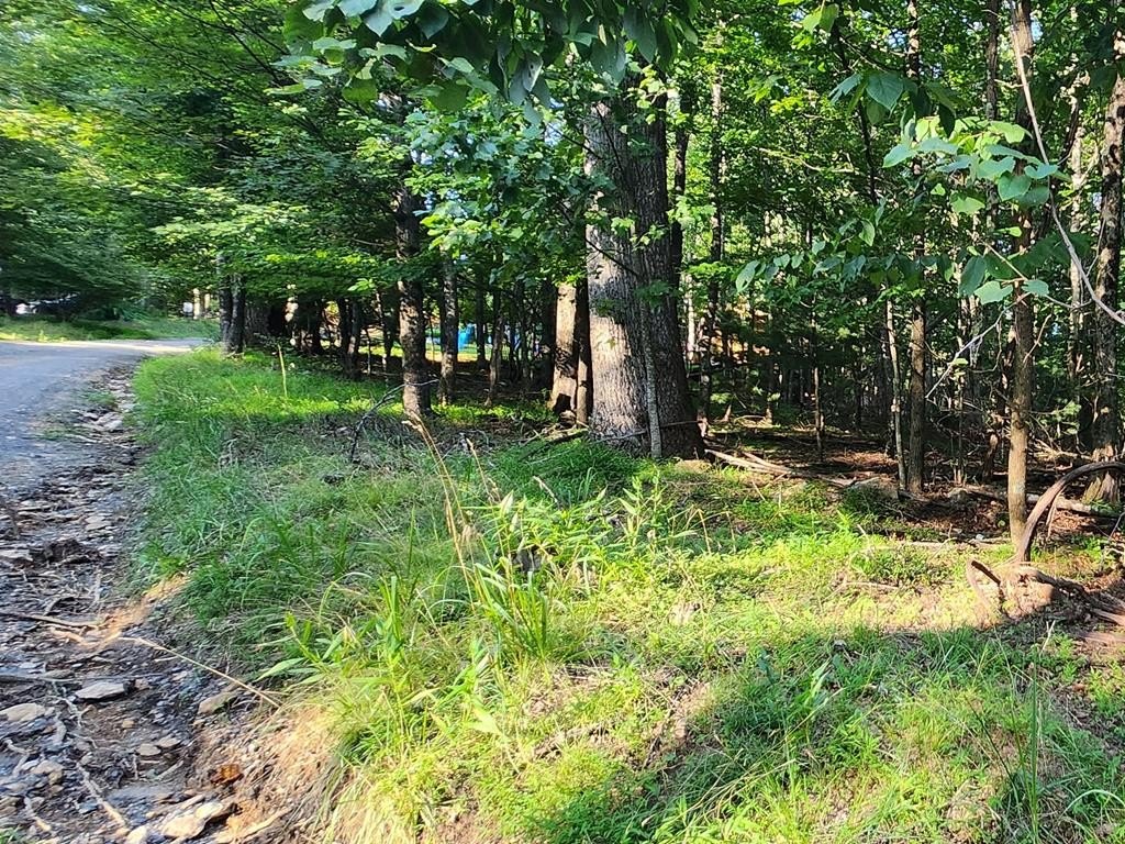 Other - Apache Trail lot: 8, Fancy Gap, VA